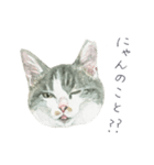 さくらねこのぐり（個別スタンプ：14）