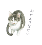 さくらねこのぐり（個別スタンプ：22）