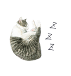 さくらねこのぐり（個別スタンプ：29）