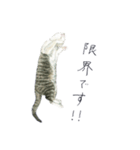 さくらねこのぐり（個別スタンプ：30）