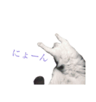 ぐうたらネコと仲間たち（個別スタンプ：3）