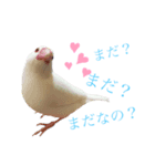 ぐうたらネコと仲間たち（個別スタンプ：6）