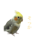 ぐうたらネコと仲間たち（個別スタンプ：7）