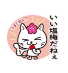 茨城弁の猫めがくっちゃべるっぺ（個別スタンプ：20）