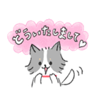 チワワのジャック2 気持ち伝える（個別スタンプ：5）