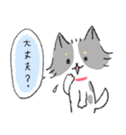 チワワのジャック2 気持ち伝える（個別スタンプ：7）