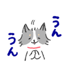 チワワのジャック2 気持ち伝える（個別スタンプ：8）