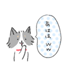 チワワのジャック2 気持ち伝える（個別スタンプ：10）