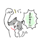 チワワのジャック2 気持ち伝える（個別スタンプ：15）