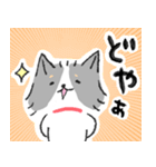 チワワのジャック2 気持ち伝える（個別スタンプ：26）