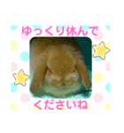 うさぎさんととチンチラさん（個別スタンプ：1）