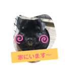 うさぎさんととチンチラさん（個別スタンプ：8）