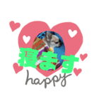 チワワのメロン君3！（個別スタンプ：6）