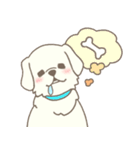 わんこ日和( しろ )（個別スタンプ：1）