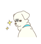 わんこ日和( しろ )（個別スタンプ：3）