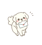 わんこ日和( しろ )（個別スタンプ：4）