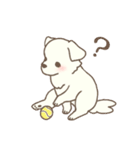 わんこ日和( しろ )（個別スタンプ：5）