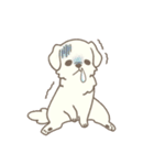 わんこ日和( しろ )（個別スタンプ：6）