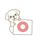 わんこ日和( しろ )（個別スタンプ：8）