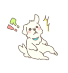 わんこ日和( しろ )（個別スタンプ：9）