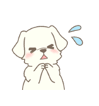 わんこ日和( しろ )（個別スタンプ：10）