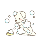 わんこ日和( しろ )（個別スタンプ：12）