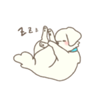 わんこ日和( しろ )（個別スタンプ：15）