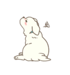 わんこ日和( しろ )（個別スタンプ：18）