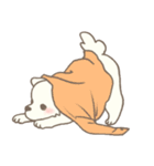 わんこ日和( しろ )（個別スタンプ：19）