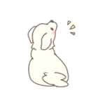 わんこ日和( しろ )（個別スタンプ：21）