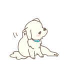 わんこ日和( しろ )（個別スタンプ：22）
