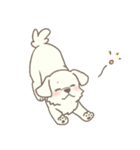 わんこ日和( しろ )（個別スタンプ：23）