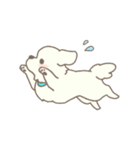わんこ日和( しろ )（個別スタンプ：25）
