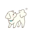 わんこ日和( しろ )（個別スタンプ：28）