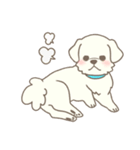 わんこ日和( しろ )（個別スタンプ：29）