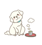 わんこ日和( しろ )（個別スタンプ：30）