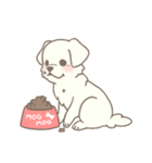 わんこ日和( しろ )（個別スタンプ：32）