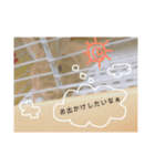 はねすんちのうさたん（個別スタンプ：7）