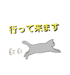 ネコを信じなさい（個別スタンプ：11）