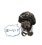 アフロだ！Noir（個別スタンプ：8）
