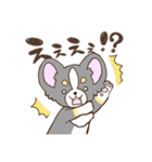 かわいいチワワ♡ブラックタンのあとむくん（個別スタンプ：2）