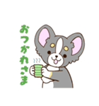 かわいいチワワ♡ブラックタンのあとむくん（個別スタンプ：3）