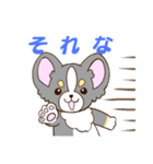 かわいいチワワ♡ブラックタンのあとむくん（個別スタンプ：4）