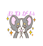 かわいいチワワ♡ブラックタンのあとむくん（個別スタンプ：6）