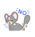 かわいいチワワ♡ブラックタンのあとむくん（個別スタンプ：14）