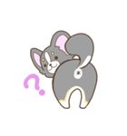 かわいいチワワ♡ブラックタンのあとむくん（個別スタンプ：15）