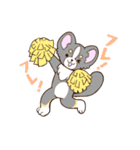 かわいいチワワ♡ブラックタンのあとむくん（個別スタンプ：19）