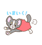 かわいいチワワ♡ブラックタンのあとむくん（個別スタンプ：20）