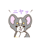 かわいいチワワ♡ブラックタンのあとむくん（個別スタンプ：21）
