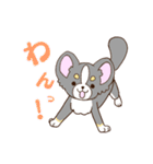 かわいいチワワ♡ブラックタンのあとむくん（個別スタンプ：22）